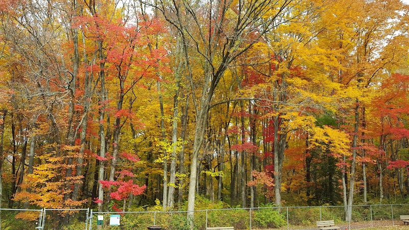 MonDaug Bark Park - Fort Washington,