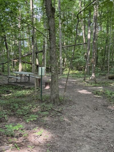 Fido's Forest Dog Park: Appointment and Registration Required - Fort Wayne, IN