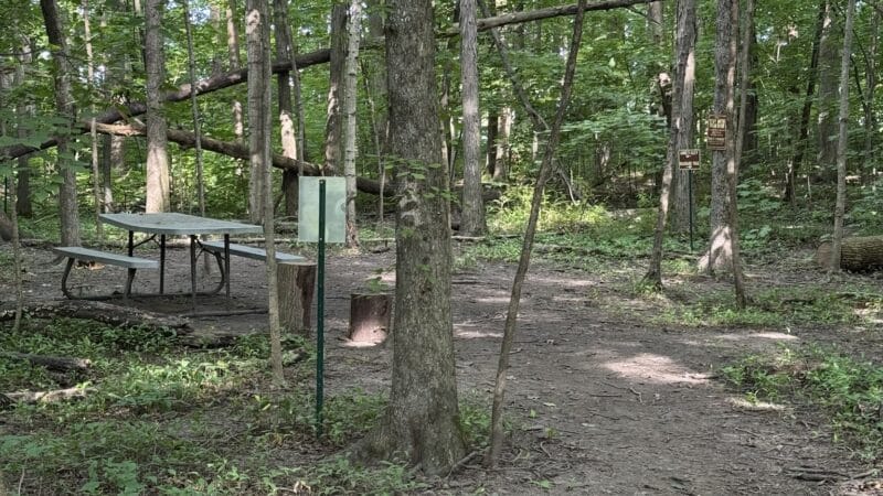 Fido's Forest Dog Park: Appointment and Registration Required - Fort Wayne, IN