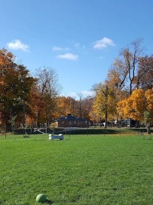 Camp Canine: Members Only - Fort Wayne, IN