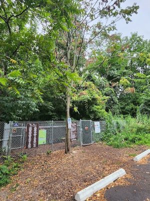 Fido's Forest Dog Park: Appointment and Registration Required - Fort Wayne, IN