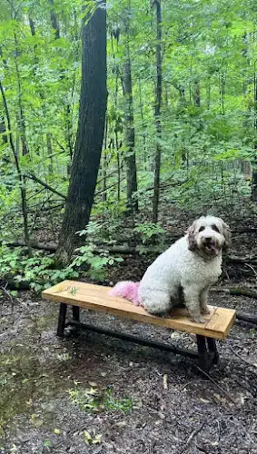 Fido's Forest Dog Park: Appointment and Registration Required - Fort Wayne, IN