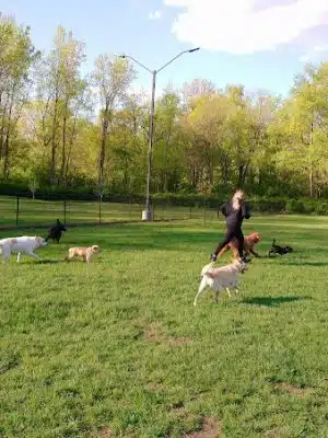 Pawster Park (Pay Access) - Fort Wayne, IN