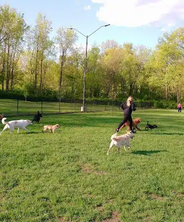 Pawster Park (Pay Access) - Fort Wayne, IN