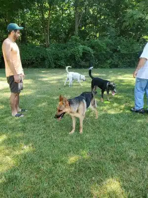 Pawster Park (Pay Access) - Fort Wayne, IN