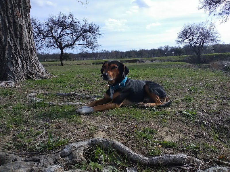 Prairie Dog' Park - Fort Worth, TX