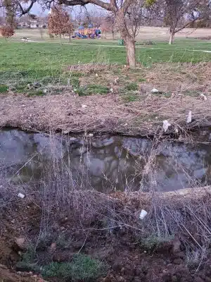 Prairie Dog' Park - Fort Worth, TX