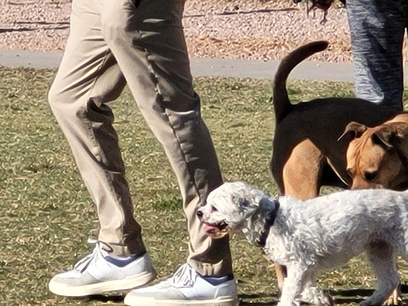 Desert Vista Dog Park - Fountain Hills, AZ