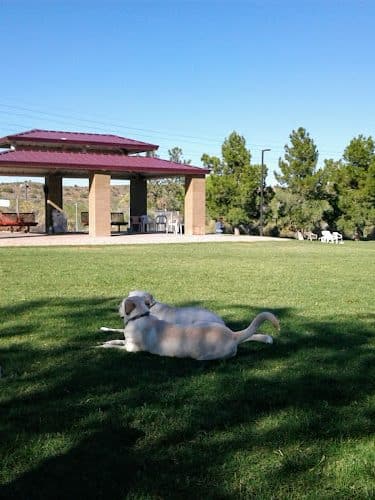 Desert Vista Dog Park - Fountain Hills, AZ