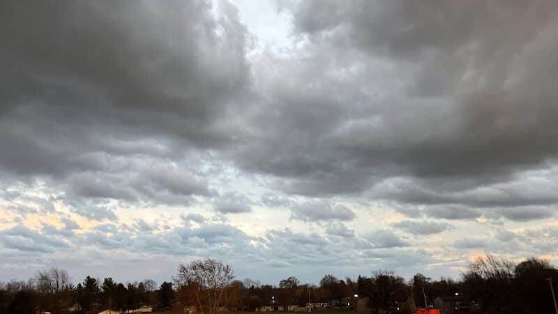 Fowlerville Community Park - Fowlerville,