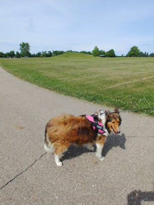 Fowlerville Community Park