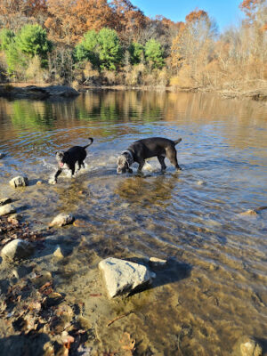 Eagle Pond