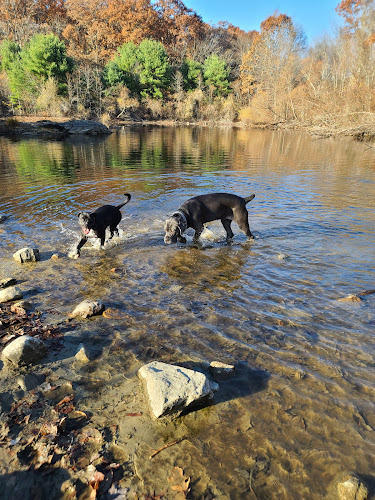Eagle Pond