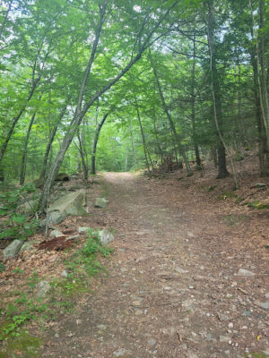 Ashland Town Forest Trailhead