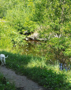 Callahan State Park South Entrance
