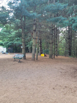 Franklin Dog Park