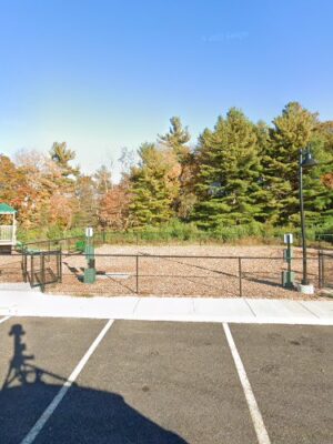 Dog Park