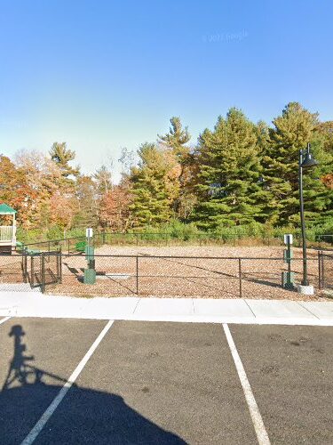 Dog Park