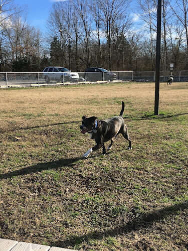 Blake's Bark Park