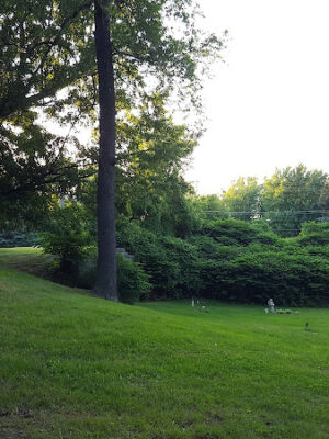 Boris Park