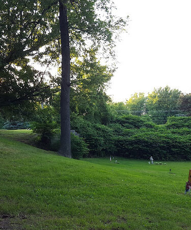 Boris Park