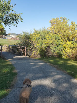 Harrington Trails Park