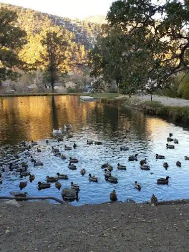 Frazier Mountain Park