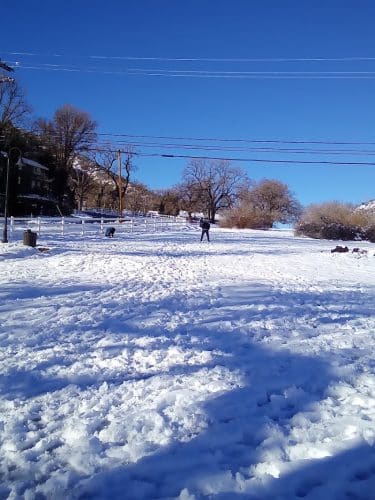Frazier Mountain Park