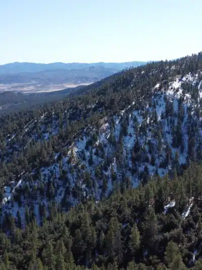 Frazier Mountain Park - Frazier Park, CA
