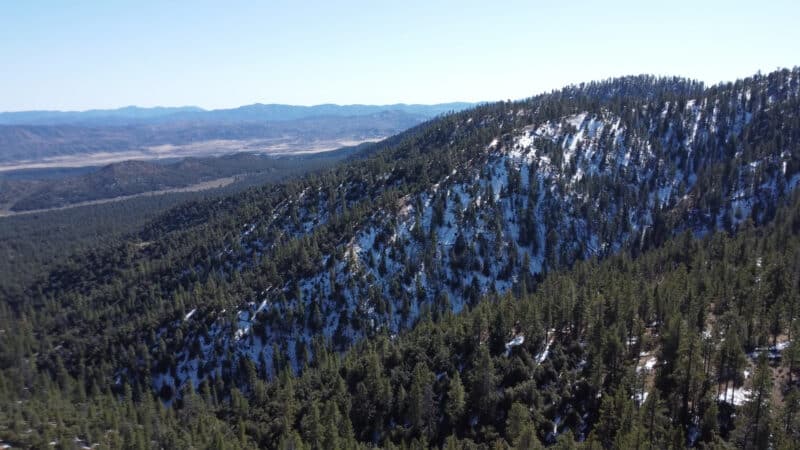 Frazier Mountain Park - Frazier Park, CA