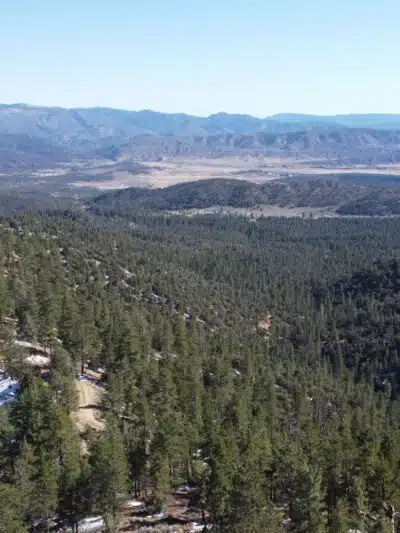 Frazier Mountain Park - Frazier Park, CA