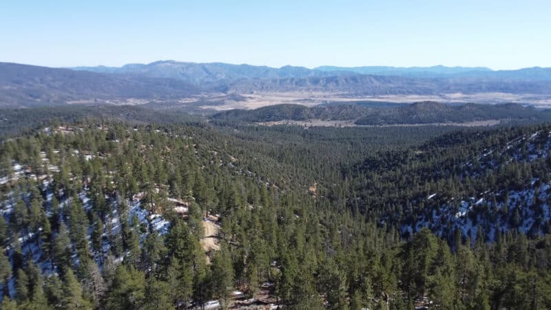 Frazier Mountain Park - Frazier Park, CA