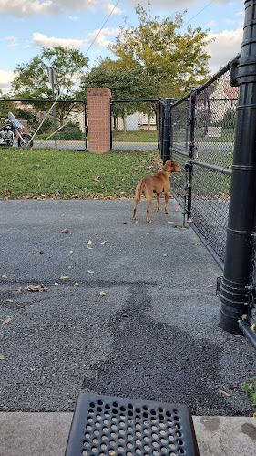 City of Frederick Dog Park