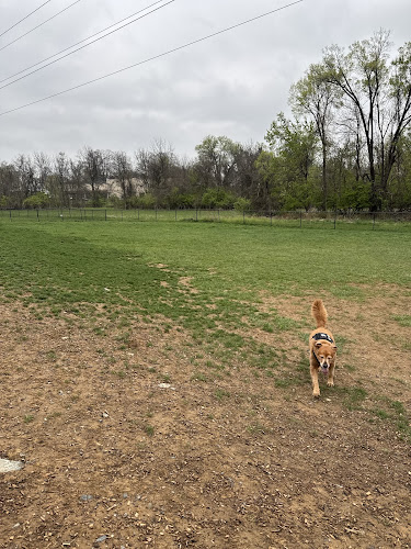 Uptown Dog Park
