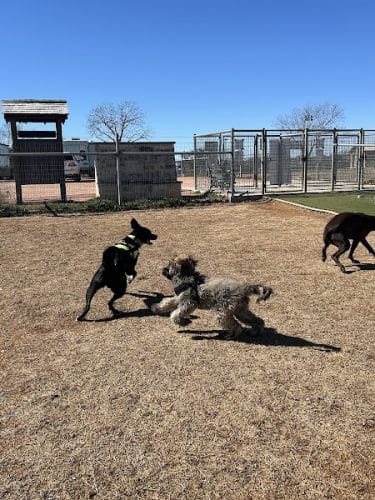 Fredericksburg Dog Park
