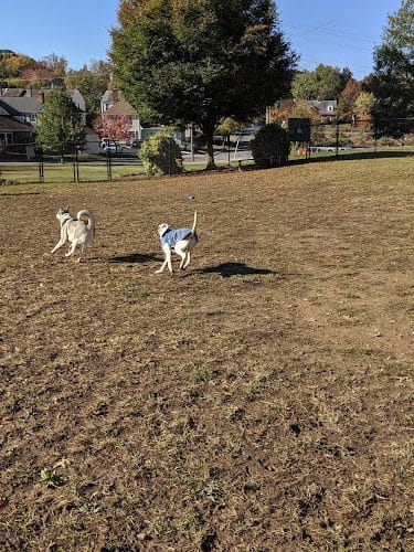 Fredericksburg Dog Park