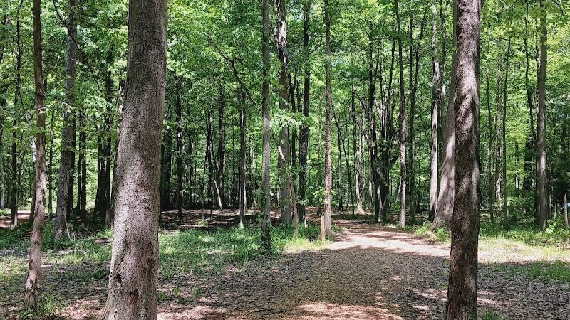 Hayes Park - Freeland, MI