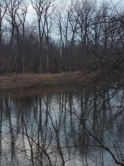 Memorial Park - Freeland, MI