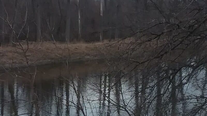 Memorial Park - Freeland, MI