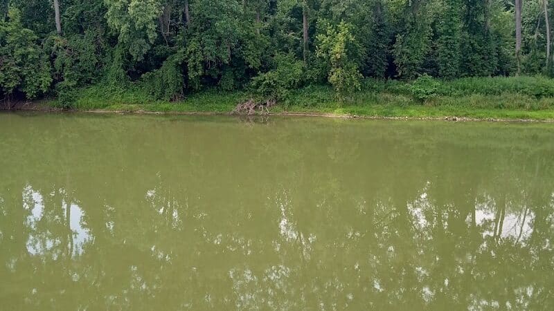 Memorial Park - Freeland, MI
