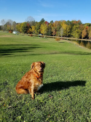 Hayes Park