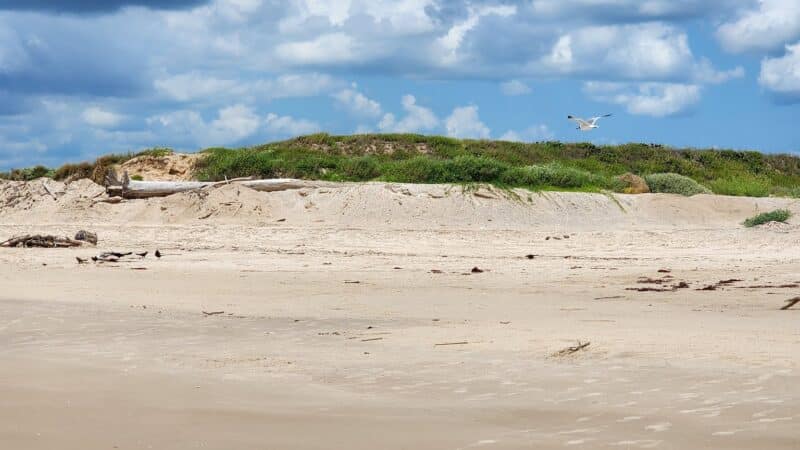Freeport Bryan Beach - Freeport, TX