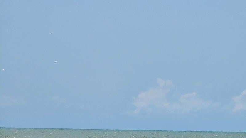 Freeport Bryan Beach - Freeport, TX