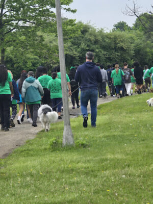 Cow Meadow Park