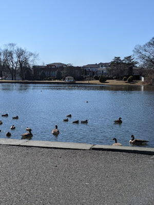 Milburn Creek Park