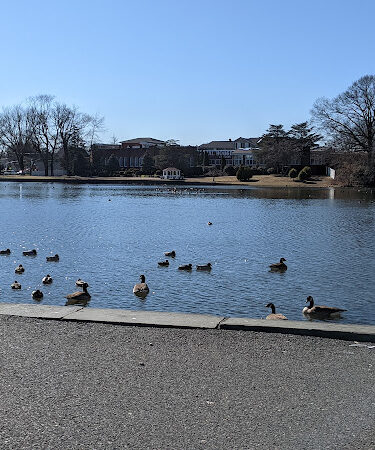 Milburn Creek Park