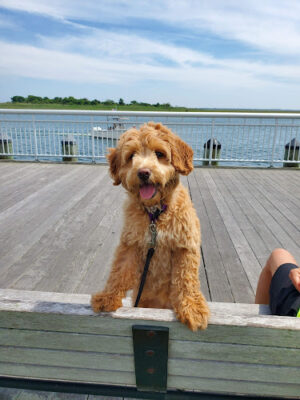 Waterfront Park