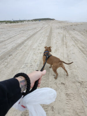 Freeport Bryan Beach
