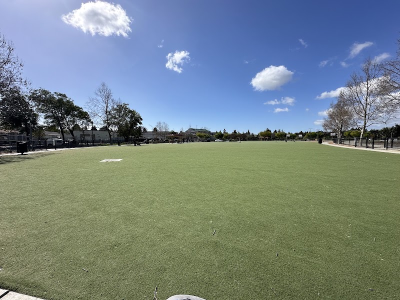 Central Park Dog Park - Fremont, CA