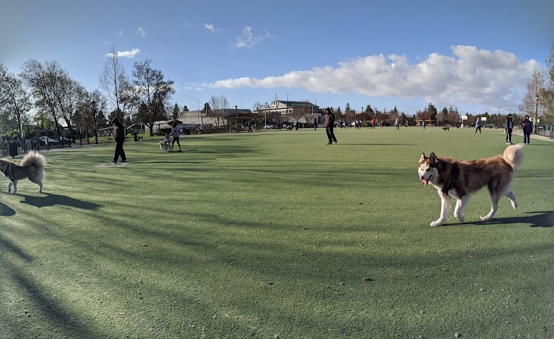 Central Park Dog Park - Fremont, CA